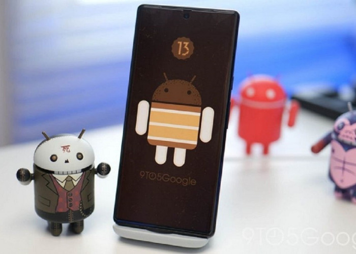 Inilah Jenis Ponsel yang Bisa Upgrade ke Android 13