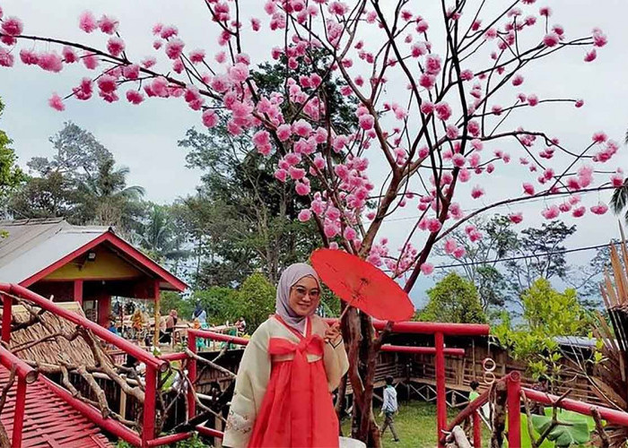 Wisata Kampung Korea di Banten Terdapat Pohon Sakura Hingga Busana Tradisional Korea, Cocok Buat Kaum Muda