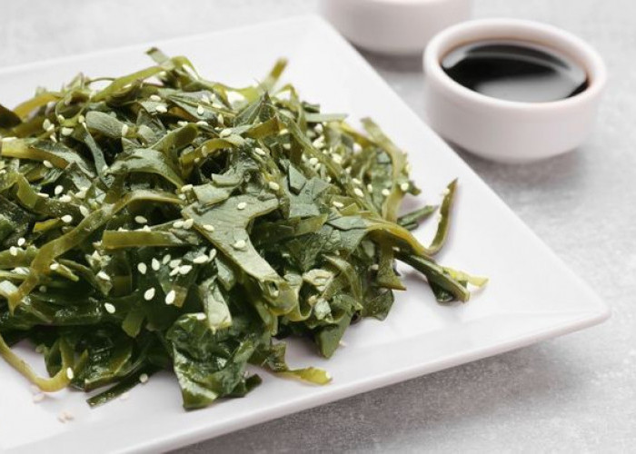 Rahasia Kesegaran dari Laut: Panduan Cerdas Memilih dan Menyimpan Rumput Laut Berkualitas Tinggi