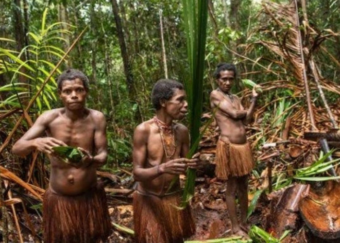Ini Tradisi Nyeleneh Suku Fore Oseania, Makan Mayat Penyebab Malapetaka Prion Penyakit Kuru