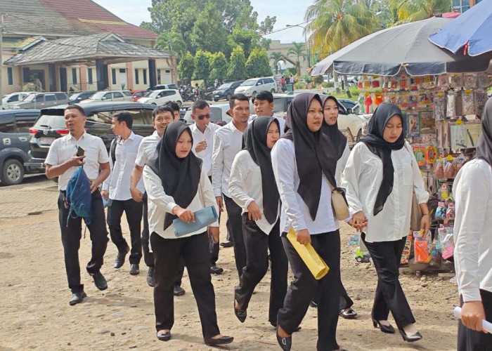 Pemda Tetap Harus Anggarkan Gaji Pegawai Honorer Hingga PPPK Paruh Waktu