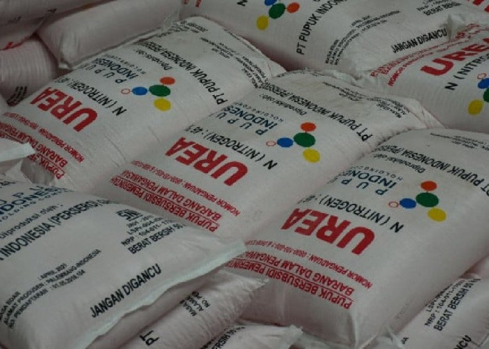 Pemerintah Resmi Turunkan Harga Pupuk, Ini Harga Resmi Yang Berlaku Sekarang