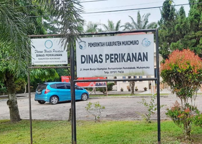 Dinas Perikanan Tunda Bantuan untuk Nelayan Tahun 2026