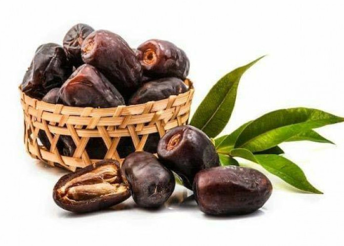 Rahasia Kesegaran Kurma: Panduan Menyimpan Butir Manis Agar Tetap Legit dan Tidak Kering