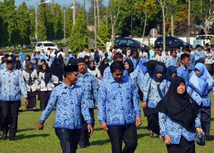 Ditetapkan, Ini Formasi CPNS Kabupaten Mukomuko 2024