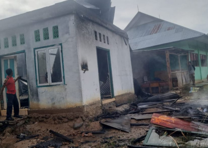 Sijago Merah Lalap Bangunan SDIT AL Fatih Mukomuko