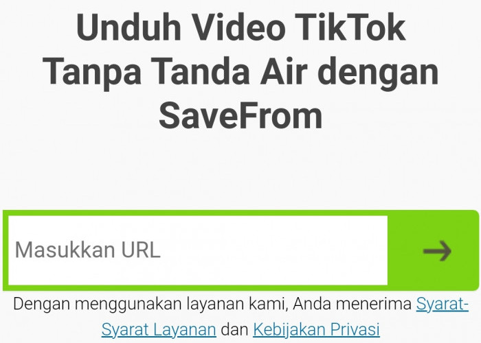 3 Cara Download Video TikTok Tanpa Watermark, Cukup Copy Link