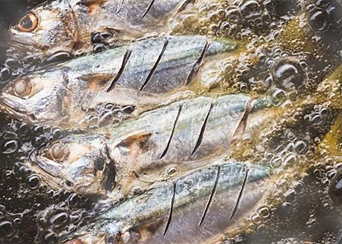 Panduan Goreng Ikan Agar Migor Tidak Meletup, Taburi Garam Lebih Dulu