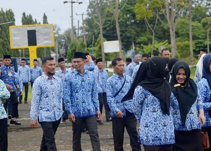 Pemerintah Berlakukan Aturan Main Dana TPP ASN, Pegawai Indisipliner Dipotong Otomatis    