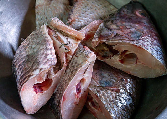 Tak Butuh Jeruk Nipis, Gunakan Bahan Dapur Ini untuk Menghilangkan Bau Amis Pada Ikan Dijamin Ampuh