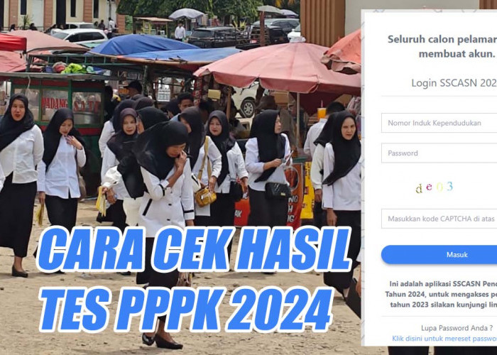 Hasil Tes PPPK Diumumkan, Begini Cara Mengeceknya