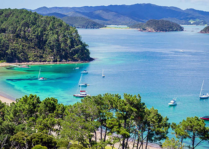 Bikin Mata Tak Berkedip, Begini Pesona Keindahan Alam Bay of Islands