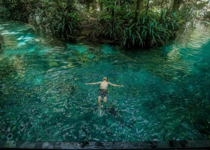 Kilauan Air Kali Biru Genyem, Kolam Alami yang Tersimpan di Tanah Papua Bak Keindahan di Surgawi