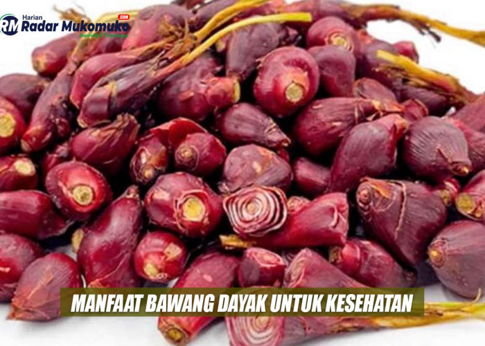 Memiliki Banyak Kandungan Nutrisi, Inilah Berbagai Manfaat Bawang Dayak Bagi Kesehatan