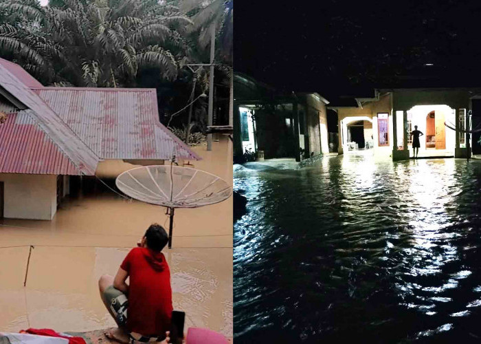 Banjir Melanda Beberapa Wilayah di Mukomuko, BPBD: Kecamatan Ipuh Terparah