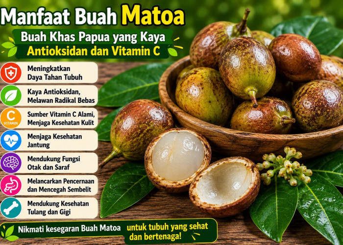 Manfaat Buah Matoa bagi Kesehatan: Buah Khas Papua yang Kaya Antioksidan dan Vitamin C