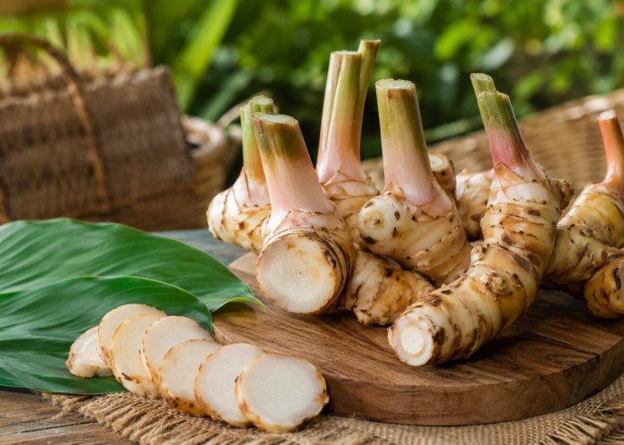 Manfaat Lengkuas bagi Kesehatan Rempah Dapur Tradisional dengan Khasiat Luar Biasa