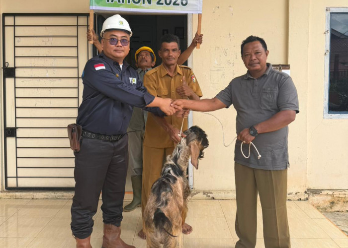 Harga TBS Anjlok, Jumlah Hewan Qurban di Gading Jaya Meningkat