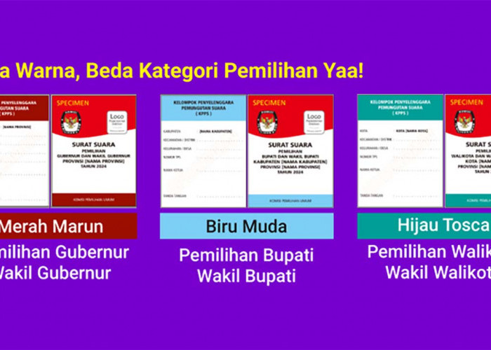 Tiga Jenis Surat Suara Pilkada 2024,  Merah Marun, Hijau Tosca dan Biru Muda