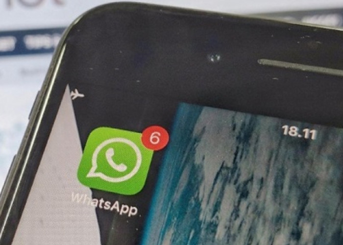 Mau Tahu Kondisi Pacar, Teman atau Anak, Begini Cara Memantaunya Lewat WhatsApp