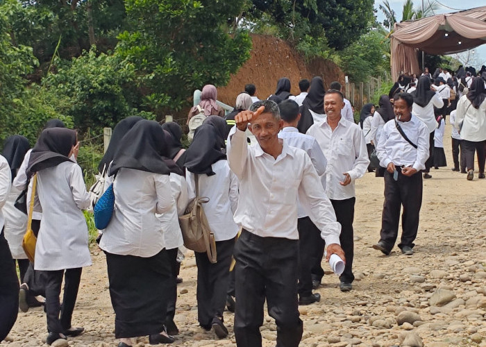 7 Honorer Mukomuko Belum Menyelesaikan Pengisian DRH Pengangkatan PPPK Paruh Waktu, Berpotensi Gugur