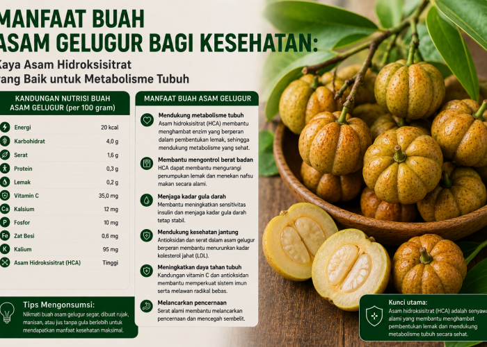 Manfaat Buah Asam Gelugur bagi Kesehatan: Kaya Asam Hidroksisitrat yang Baik untuk Metabolisme Tubuh