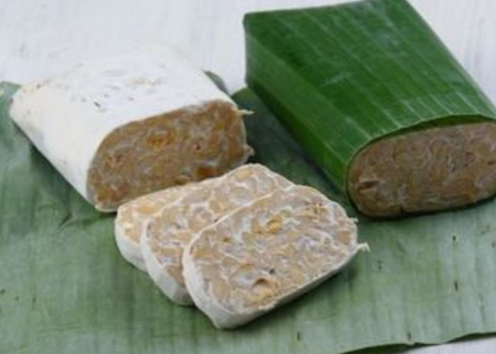 Lebih Bagus yang Mana, Tempe yang Dibungkus Daun Pisang dan Plastik? Simak Disini Penjelasannya