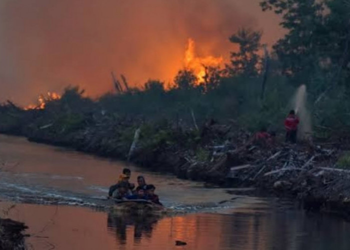 Sisi Gelap Perkebunan Kelapa Sawit di Riau, Tak Seindah yang Diceritakan