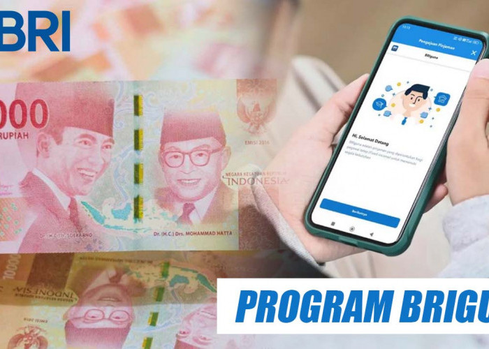 Mau Pinjam Non KUR di Bank BRI, Ada Program BRIguna Yang Diunggulkan