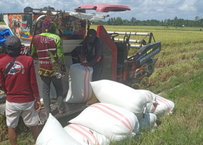 Komisi I DPRD Mukomuko: Realisasikan 20 Persen APBDes untuk Dukung Program Sawah Biaya Murah