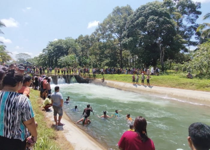 Ikut Orang Tua, Bocah 4 Tahun Tenggelam di Irigasi Lubuk Pinang, Ditemukan Meninggal