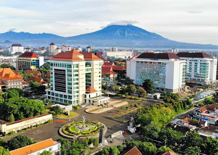Universitas Islam Negeri Malang Tambah 4 Program Studi Baru di Seleksi SNBP 2024, Cek Apa Saja?