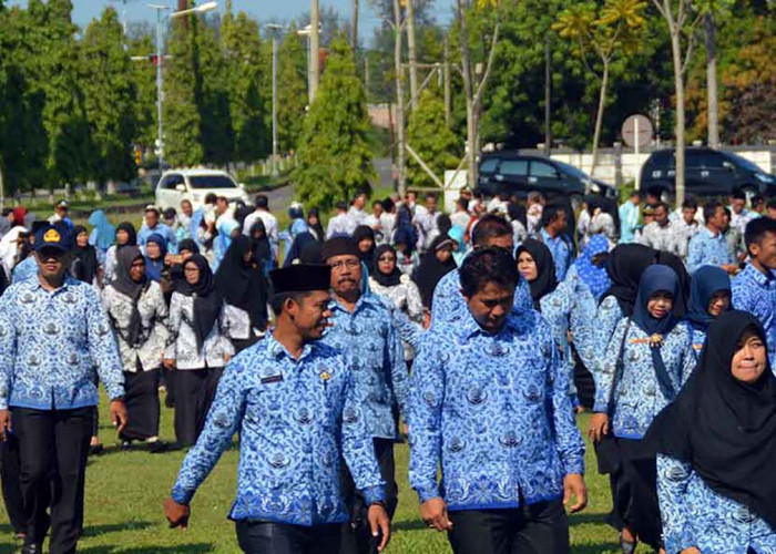 Optimalisasi Absensi Online untuk Pegawai Pemkab Mukomuko Maret 2025   