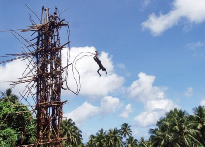 Suku Vanuatu, Lompat dari Ketinggian 30 Meter, Taruhan Nyawa