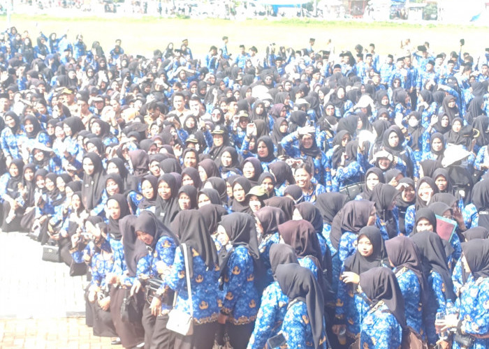 BKN Keluarkan Aturan Baru Seragan Dinas Untuk Kedisiplinan, PNS, PPPK Penuh waktu dan PPPK Paruh Waktu 