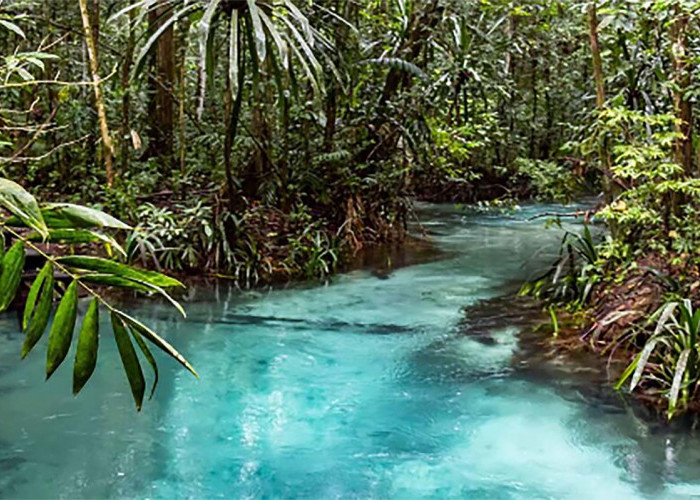 Sungai Paling Jernih Berwarna Biru di Indonesia Yang Diyakini Dijaga Buaya Putih