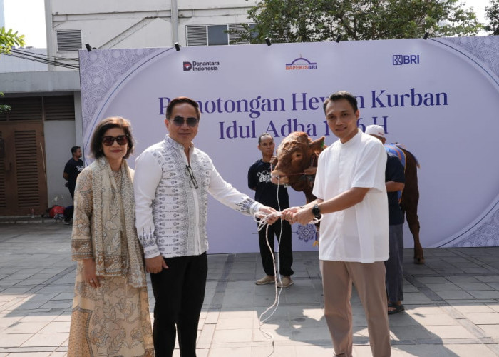 Semangat Berbagi Idul Adha 1446 H, Bapekis dan Karyawan BRI Salurkan 961 Hewan Kurban