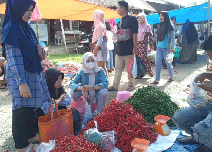 Harga Cabai Anjlok, Petani Mukomuko Terancam Gulung Tikar