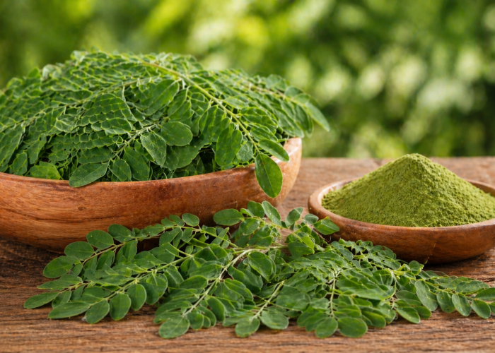 Manfaat daun kelor bagi Kesehatan: Superfood Alami yang Sering Terabaikan