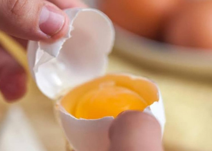 Selama Ini Kita Salah Sangka, Ternyata Warna Pada Kuning Telur Tidak Menentukan Nilai Gizi Telur Tapi