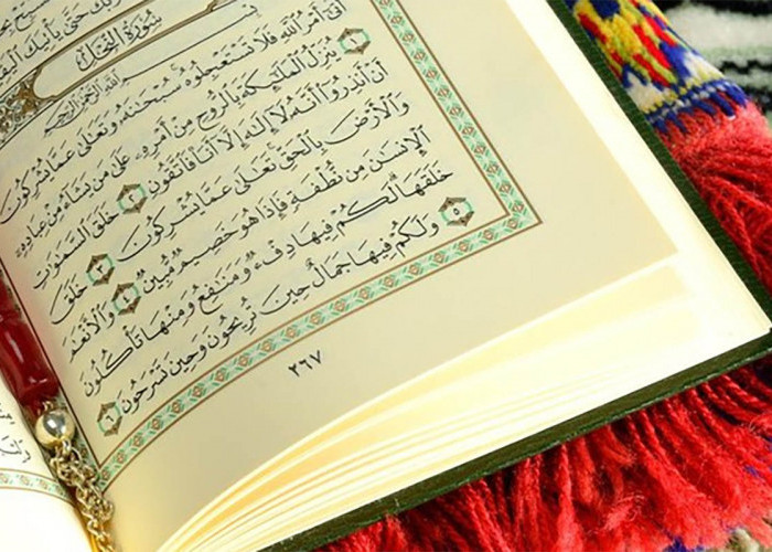 Doa ini yang Diajarkan Rosullah Untuk Terbebas Dari Hutang Dengan Keutamaan Surat Yasin, Begini Caranya