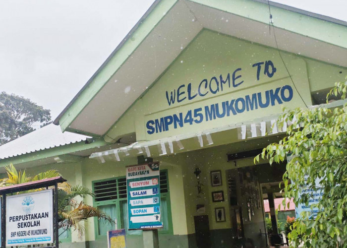 Tidak Dilindungi Pagar, SMPN 45 Mukomuko Kerap Dimasuki Ternak Hingga Hewan Liar