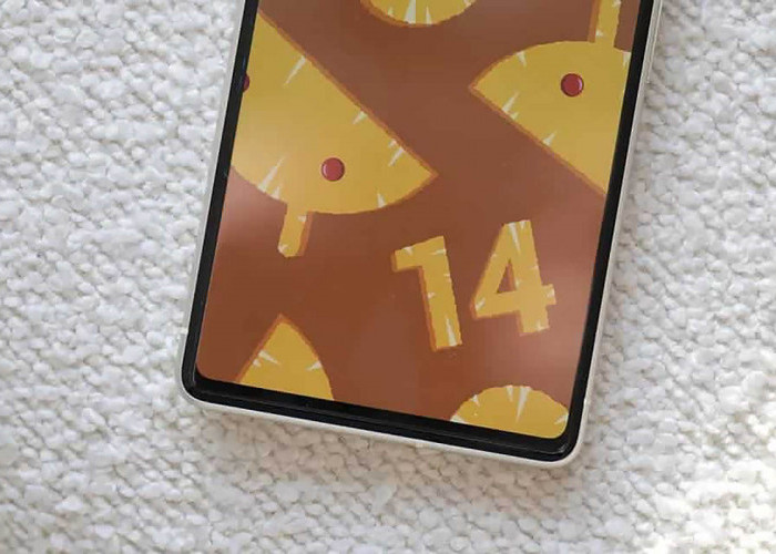 Android 14 akan Hadir dengan Fitur Keamanan Lebih Tinggi Layaknya iOS
