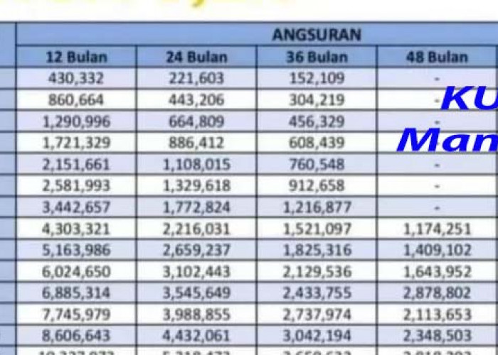 Info Pinjaman, KUR Mandiri Rp 5 Juta Hingga Rp100 Juta, Cicilan Mulai dari Rp100 Ribuan, Ini Syaratnya