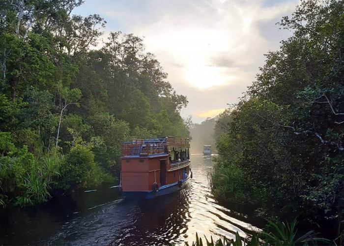 Sungai Sekonyer, Wisata  Susur Sungai Deras dan Seru Melintasi Kehidupan Orangutan di Kalteng
