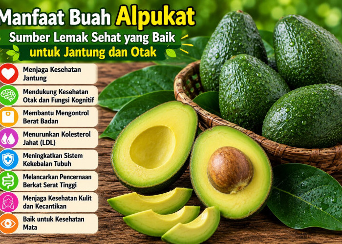 Manfaat Buah Alpukat bagi Kesehatan: Sumber Lemak Sehat yang Baik untuk Jantung dan Otak