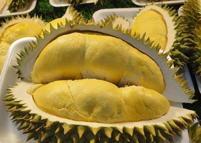 Selain Lezat, Ternyata Ini Dia Manfaat Buah Durian yang Baik Untuk Kesehatan Tubuh