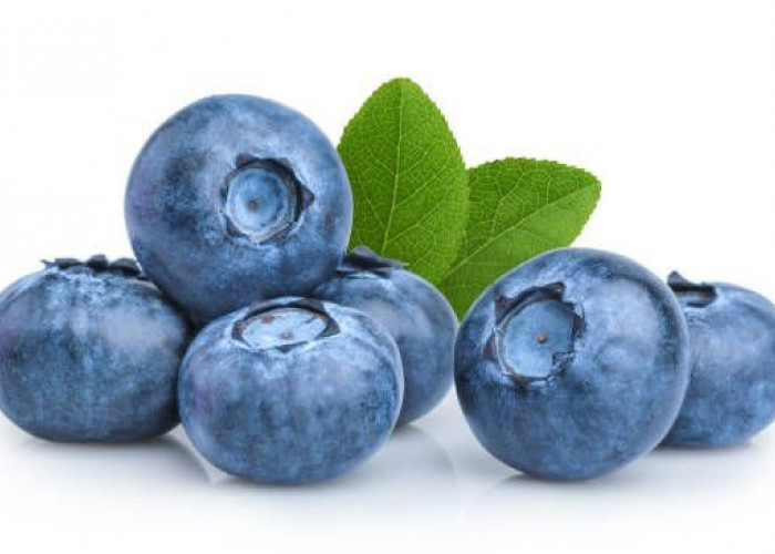 Kaya Nutrisi! Inilah Segudang Khasiat Buah Blueberry untuk Tubuh dan Kulit