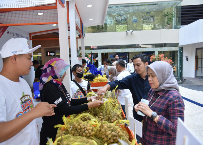 Berdayakan UMKM Unggulan Pedesaan, BRI Dorong Perluasan Pasar Produk Desa BRILiaN