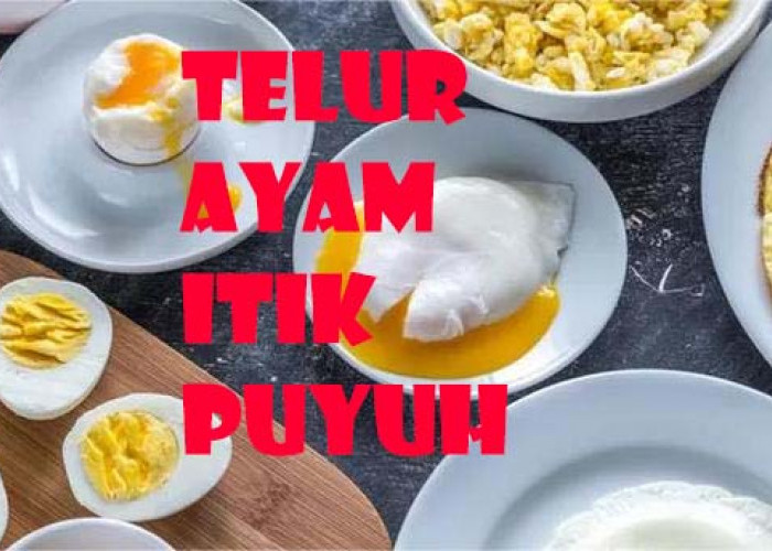 Telur Ayam, Telur Bebek dan Telur Puyuh, Bagus mana?